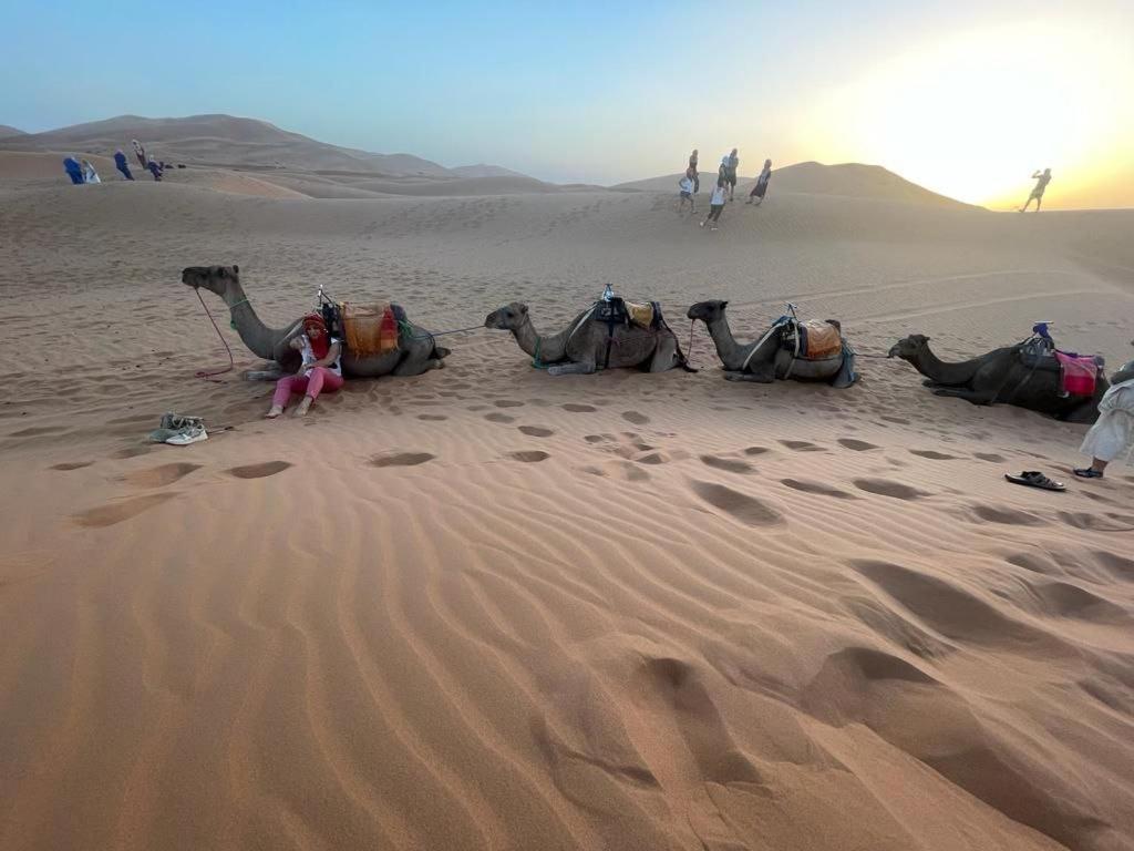 מלון מרזאוגה Sahara Luxury Camp Vip מראה חיצוני תמונה
