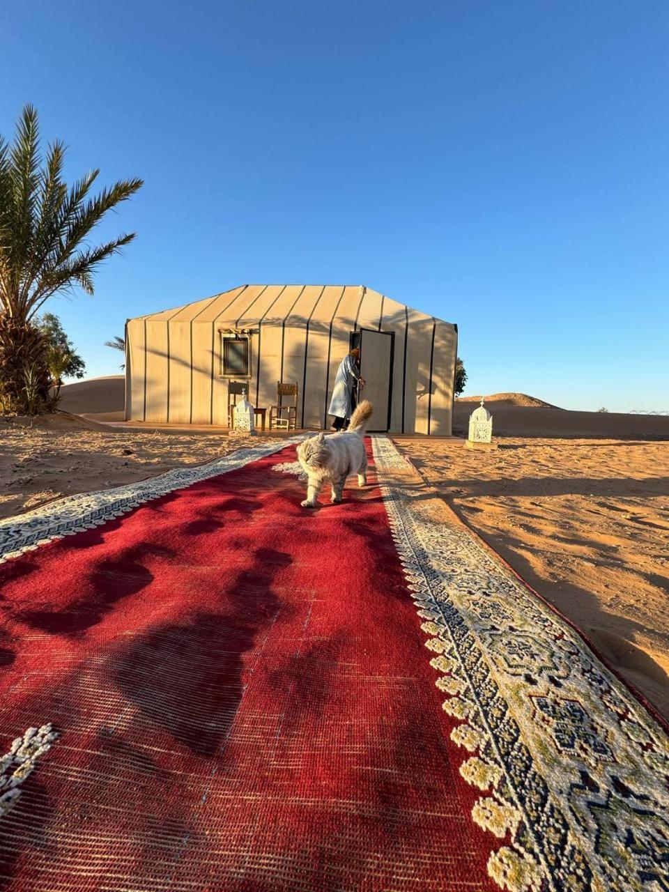מלון מרזאוגה Sahara Luxury Camp Vip מראה חיצוני תמונה