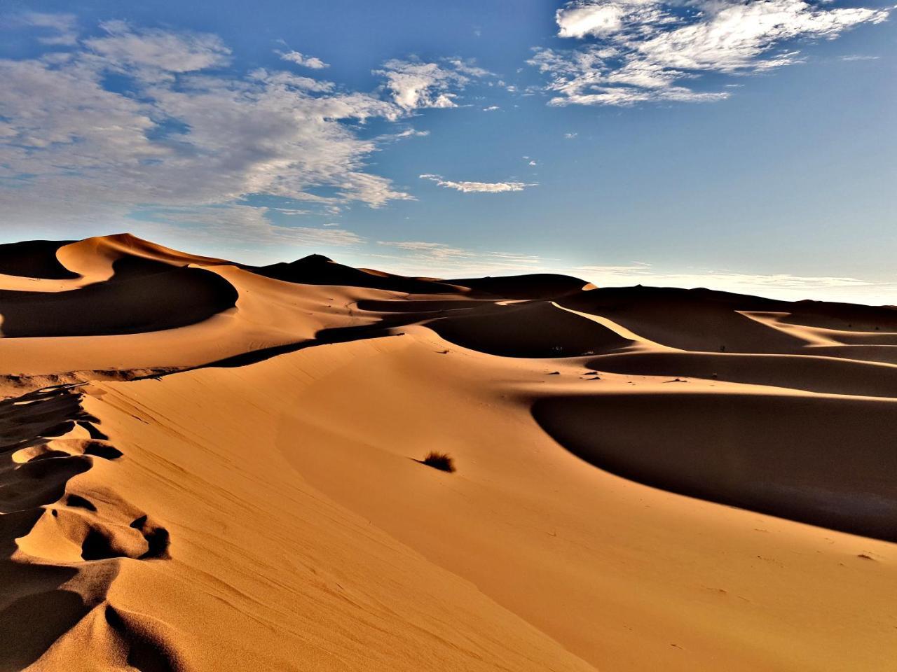 מלון מרזאוגה Sahara Luxury Camp Vip מראה חיצוני תמונה